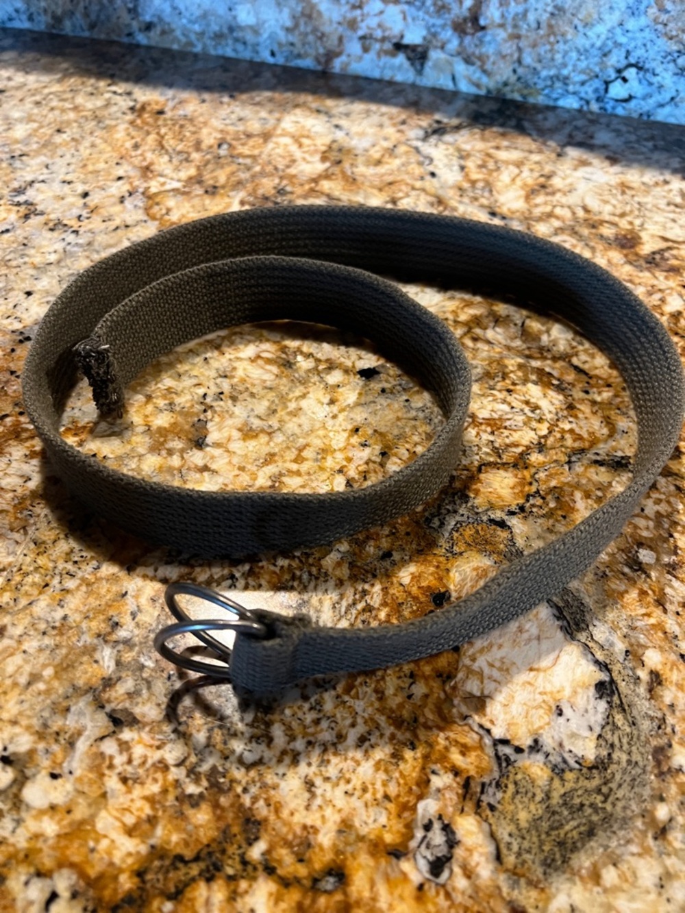 Men's Gray Canvas D-Ring Belt